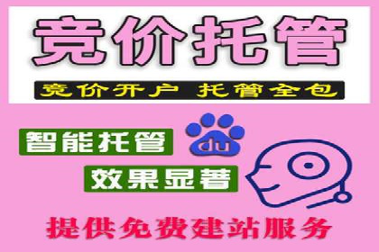 百度竞价推广的ROI优化策略：一则案例分析